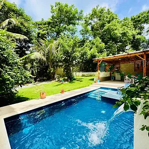 Mini-hôtel Palmare House, San Andrés